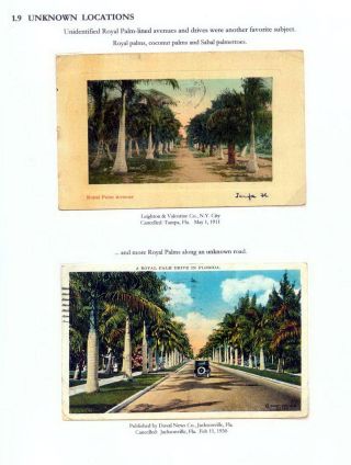 THE ROYAL PALM TOUR – sheet 30