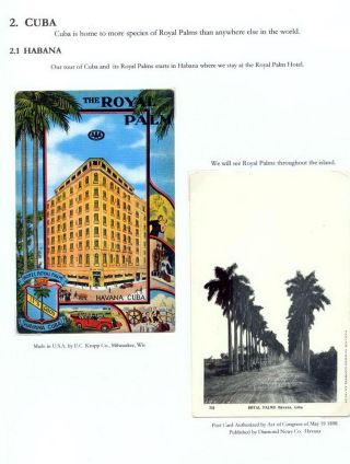 THE ROYAL PALM TOUR – sheet 33