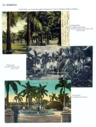THE ROYAL PALM TOUR – sheet 35