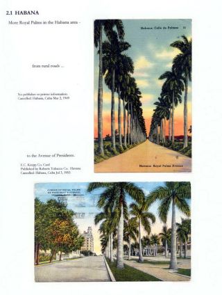 THE ROYAL PALM TOUR – sheet 36