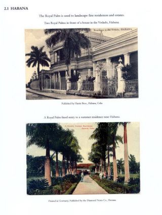 THE ROYAL PALM TOUR – sheet 37