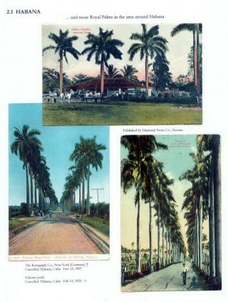 THE ROYAL PALM TOUR – sheet 38