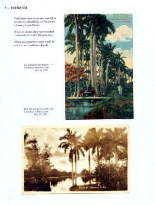 THE ROYAL PALM TOUR – sheet 39