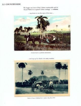THE ROYAL PALM TOUR – sheet 40