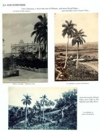 THE ROYAL PALM TOUR – sheet 41