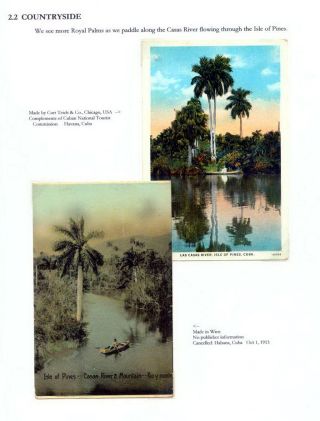 THE ROYAL PALM TOUR – sheet 43