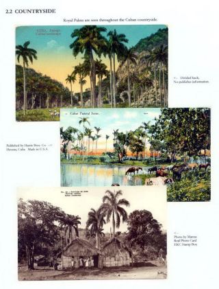 THE ROYAL PALM TOUR – sheet 44