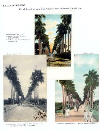 THE ROYAL PALM TOUR – sheet 45