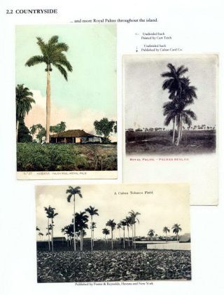 THE ROYAL PALM TOUR – sheet 46