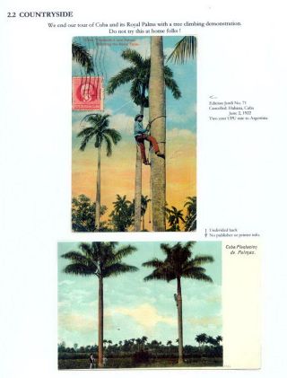 THE ROYAL PALM TOUR – sheet 48