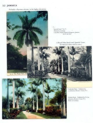 THE ROYAL PALM TOUR – sheet 52