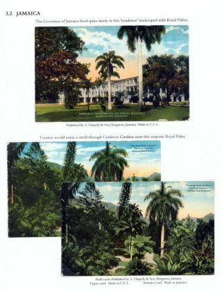 THE ROYAL PALM TOUR – sheet 53
