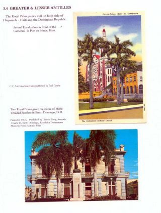 THE ROYAL PALM TOUR – sheet 55