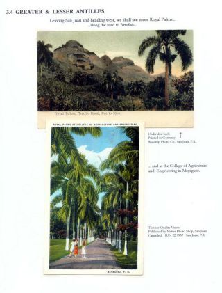 THE ROYAL PALM TOUR – sheet 57