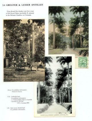 THE ROYAL PALM TOUR – sheet 60