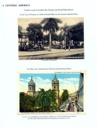 THE ROYAL PALM TOUR – sheet 63