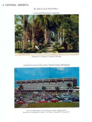 THE ROYAL PALM TOUR – sheet 65