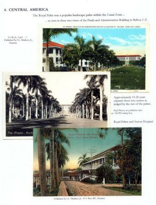 THE ROYAL PALM TOUR – sheet 66
