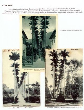 THE ROYAL PALM TOUR – sheet 68