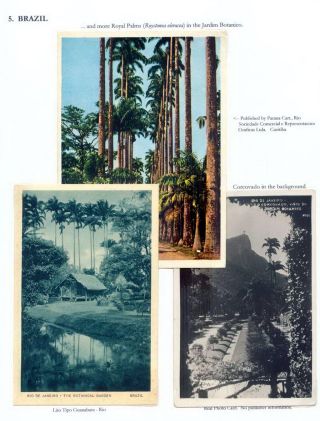 THE ROYAL PALM TOUR – sheet 69