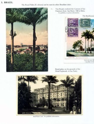 THE ROYAL PALM TOUR – sheet 70