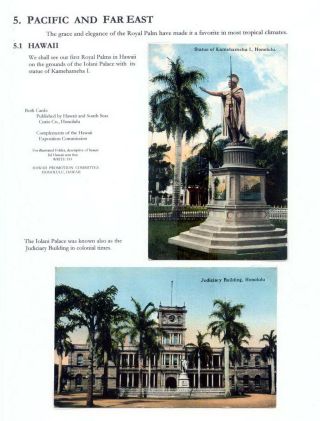 THE ROYAL PALM TOUR – sheet 72