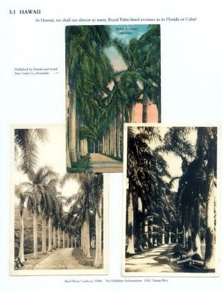 THE ROYAL PALM TOUR – sheet 73