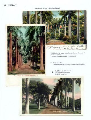 THE ROYAL PALM TOUR – sheet 74