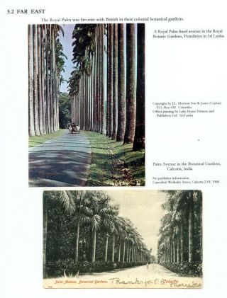 THE ROYAL PALM TOUR – sheet 75