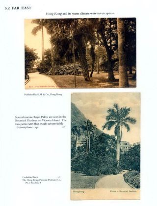 THE ROYAL PALM TOUR – sheet 76