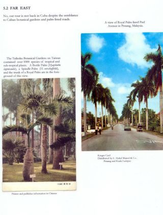 THE ROYAL PALM TOUR – sheet 77