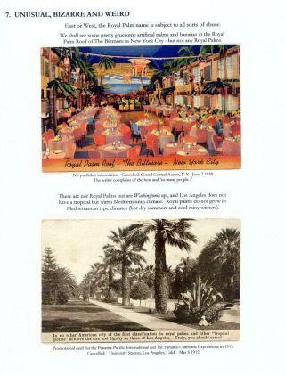 THE ROYAL PALM TOUR – sheet 79
