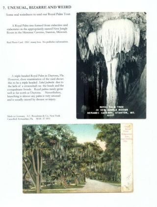 THE ROYAL PALM TOUR – sheet 80