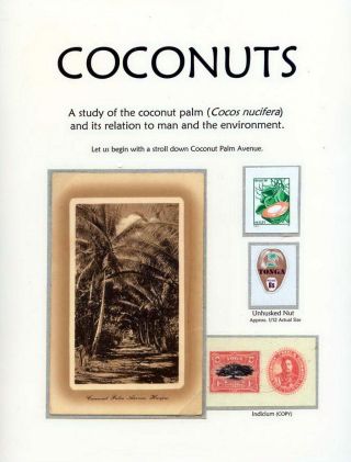 COCONUTS – sheet 1