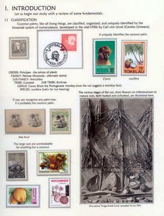 COCONUTS – sheet 3