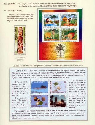 COCONUTS – sheet 4
