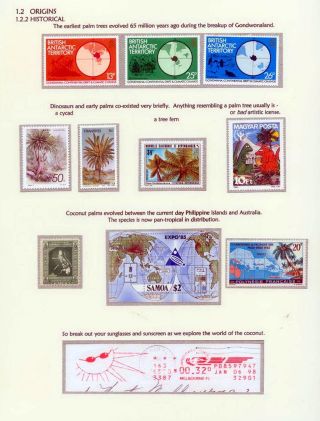 COCONUTS – sheet 5