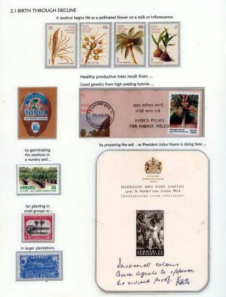 COCONUTS – sheet 7