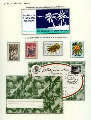 COCONUTS – sheet 8