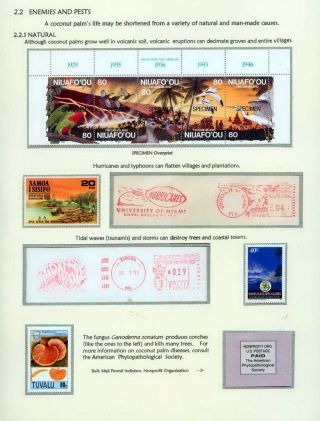 COCONUTS – sheet 10