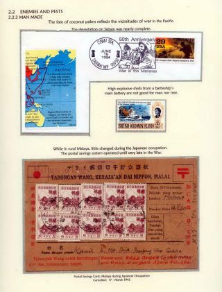 COCONUTS – sheet 13