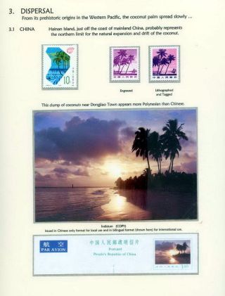 COCONUTS – sheet 15