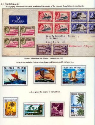 COCONUTS – sheet 17
