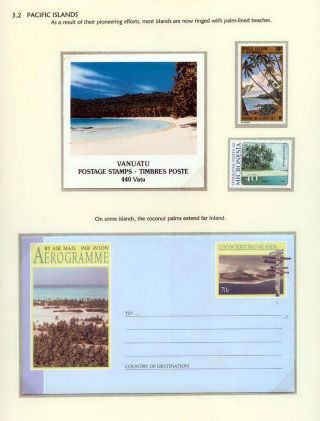 COCONUTS – sheet 18