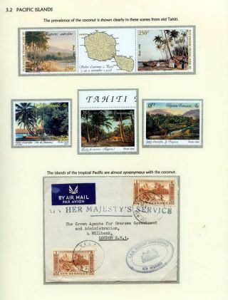 COCONUTS – sheet 20