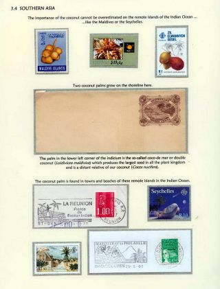 COCONUTS – sheet 25
