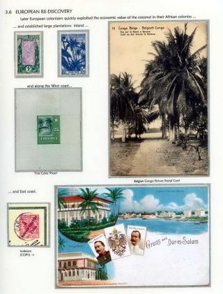 COCONUTS – sheet 27