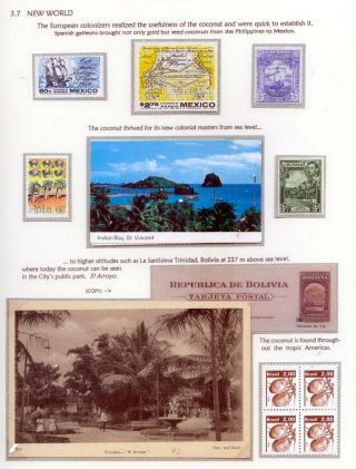 COCONUTS – sheet 31