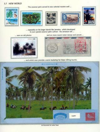 COCONUTS – sheet 32