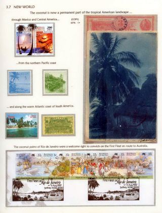 COCONUTS – sheet 33